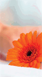Mobile Screenshot of pampuni.com